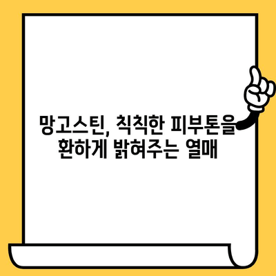 망고스틴의 피부 미용 효능과 영양 성분| 탱탱하고 건강한 피부를 위한 특별한 열매 | 망고스틴, 피부 건강, 항산화, 비타민 C, 피부 미용 효과