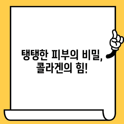 젊어 보이는 피부를 위한 어린 콜라겐의 놀라운 효과| 탄력과 수분을 되찾는 비밀 | 콜라겐, 피부 노화, 탄력 개선, 수분 공급, 젊은 피부