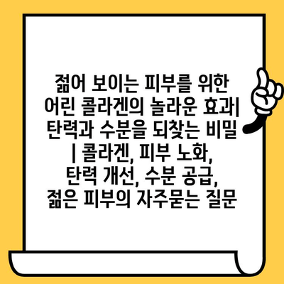 젊어 보이는 피부를 위한 어린 콜라겐의 놀라운 효과| 탄력과 수분을 되찾는 비밀 | 콜라겐, 피부 노화, 탄력 개선, 수분 공급, 젊은 피부