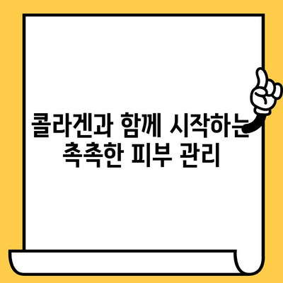 먹는 저분자 콜라겐 효과 후기| 피부 건강 관리 노하우 공유 | 콜라겐 효능, 섭취방법, 추천 제품