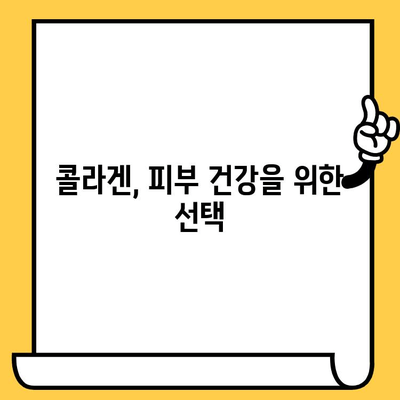 콜라겐 추천| 피부 건강을 위한 효과와 이점 | 콜라겐 종류, 섭취 방법, 추천 제품