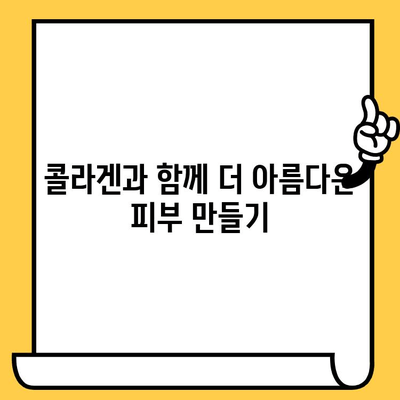 콜라겐 추천| 피부 건강을 위한 효과와 이점 | 콜라겐 종류, 섭취 방법, 추천 제품