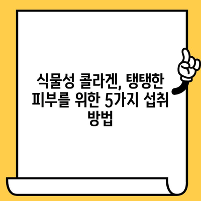 식물성 비건 콜라겐으로 매일 피부 건강 지키는 5가지 방법 | 비건 콜라겐, 피부 관리, 뷰티 팁