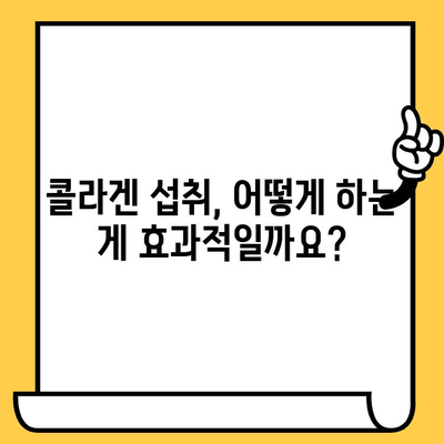 콜라겐 추천 효과 & 피부 건강 활용 가이드| 탱탱한 피부를 위한 콜라겐 선택 및 활용법 | 콜라겐, 피부 관리, 탄력, 주름 개선, 섭취 방법