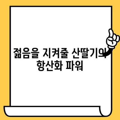 산딸기 효능| 영양소 풍부한 피부 건강 지킴이 | 피부 미용, 항산화, 면역력, 건강 식품