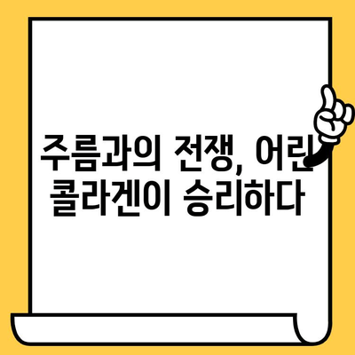 어린 콜라겐이 피부 건강에 미치는 놀라운 효과 | 피부 탄력, 주름 개선, 콜라겐 보충