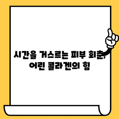 어린 콜라겐이 피부 건강에 미치는 놀라운 효과 | 피부 탄력, 주름 개선, 콜라겐 보충