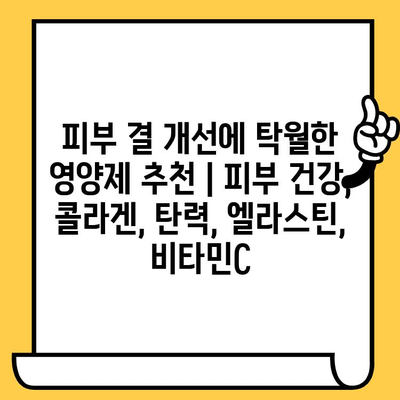 피부 결 개선에 탁월한 영양제 추천 | 피부 건강, 콜라겐, 탄력, 엘라스틴, 비타민C