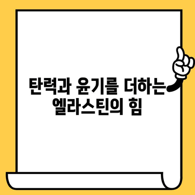 피부 결 개선에 탁월한 영양제 추천 | 피부 건강, 콜라겐, 탄력, 엘라스틴, 비타민C