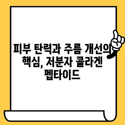 저분자 콜라겐 펩타이드, 피부를 젊게 되돌리는 비밀 | 피부 탄력, 주름 개선, 콜라겐 효능