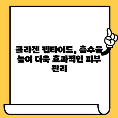 저분자 콜라겐 펩타이드, 피부를 젊게 되돌리는 비밀 | 피부 탄력, 주름 개선, 콜라겐 효능