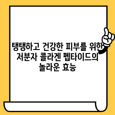 저분자 콜라겐 펩타이드, 피부를 젊게 되돌리는 비밀 | 피부 탄력, 주름 개선, 콜라겐 효능