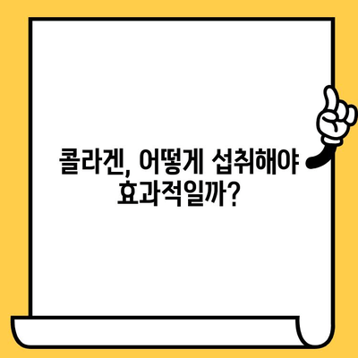 콜라겐 공부하기| 피부 건강 개선을 위한 똑똑한 섭취 전략 | 콜라겐 효능, 콜라겐 부족 증상, 콜라겐 섭취 방법