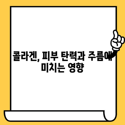 ✨ 피부 속부터 빛나는 당신을 위한 콜라겐 추천| 효과적인 선택 가이드 | 콜라겐, 피부 건강, 탄력, 주름, 효능