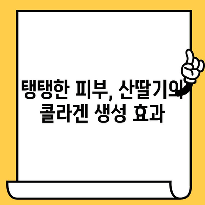 산딸기의 놀라운 효능| 피부 미용과 건강을 위한 7가지 이유 | 뷰티, 건강, 항산화, 비타민C,