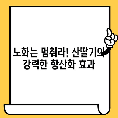 산딸기의 놀라운 효능| 피부 미용과 건강을 위한 7가지 이유 | 뷰티, 건강, 항산화, 비타민C,