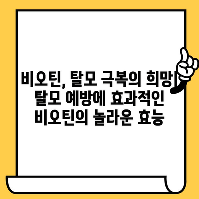 비오틴의 힘| 탈모와 피부 건강을 위한 영양제의 효능 | 비오틴, 탈모, 피부 건강, 영양제, 효능