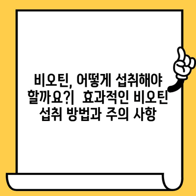 비오틴의 힘| 탈모와 피부 건강을 위한 영양제의 효능 | 비오틴, 탈모, 피부 건강, 영양제, 효능