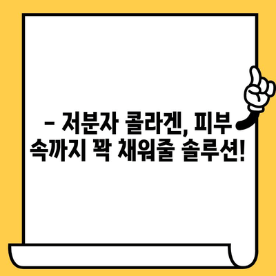 저분자 콜라겐 추천 후기| 피부 건강 개선 효과 & 섭취 시간 완벽 가이드 | 콜라겐 효능, 콜라겐 추천, 피부 관리 팁