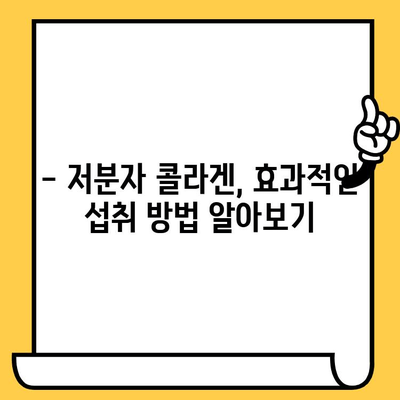 저분자 콜라겐 추천 후기| 피부 건강 개선 효과 & 섭취 시간 완벽 가이드 | 콜라겐 효능, 콜라겐 추천, 피부 관리 팁