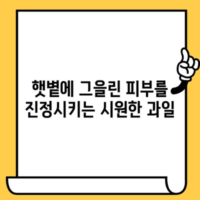 여름철 피부 건강 지키는 10가지 음식 | 피부 관리, 건강 식단, 여름철 피부 팁