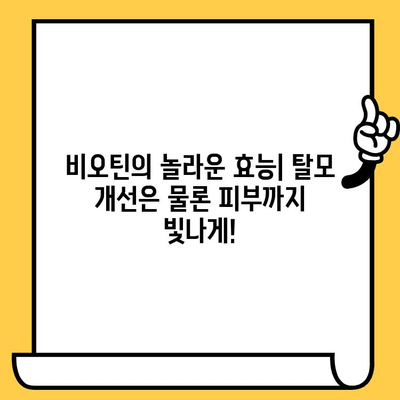 비오틴 영양제로 탈모 극복 & 피부 미인 되는 방법 | 탈모 개선, 피부 건강, 비오틴 효능, 영양제 추천