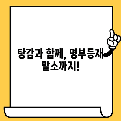 연체자 대출 탕감, 명부등재 말소까지! 완벽 가이드 | 탕감 방법, 절차, 성공 사례