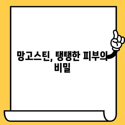 망고스틴의 놀라운 효능| 건강한 피부를 위한 망고스틴의 비밀 | 망고스틴, 피부 미용, 항산화, 콜라겐, 비타민