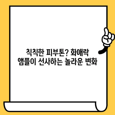 화애락 뷰티 앰플과 함께하는 피부 건강 관리의 새 지평| 7가지 변화 | 화애락, 앰플, 피부 관리, 뷰티 팁, 효과, 리뷰