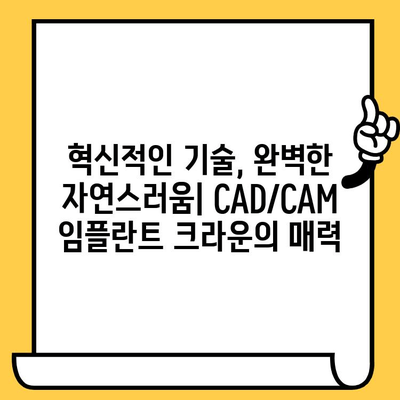 미소의 혁신| CAD/CAM 임플란트 크라운 | 자연스러운 아름다움과 기능 회복