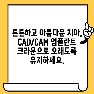 미소의 혁신| CAD/CAM 임플란트 크라운 | 자연스러운 아름다움과 기능 회복