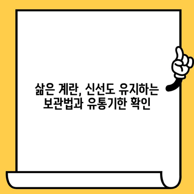 삶은 계란의 놀라운 효능, 칼로리, 유통기한 정보| 건강하게 즐기는 완벽 가이드 | 계란 영양, 계란 요리, 계란 보관법