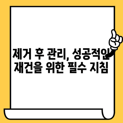 임플란트 크라운 제거 후 겪는 어려움| 환자 경험담과 교훈 | 임플란트, 크라운, 제거, 후기, 팁