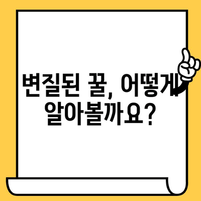 목청꿀 유통기한, 얼마나 될까요? | 보관법 & 꿀의 변질 여부 확인 팁