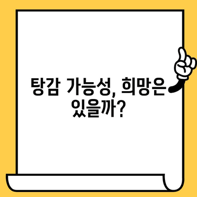 장기연체자 대출탕감, 채권 압류와 추심 명령으로 가능할까? | 대출 연체, 법적 절차, 탕감 가능성