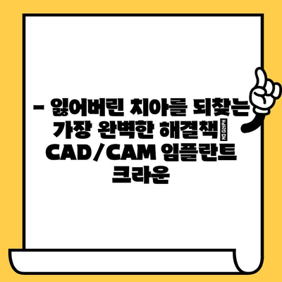 CAD/CAM 임플란트 크라운| 당신의 치과 건강의 미래를 위한 선택 |  치과, 임플란트, 크라운, 디지털 치과, 최첨단 기술