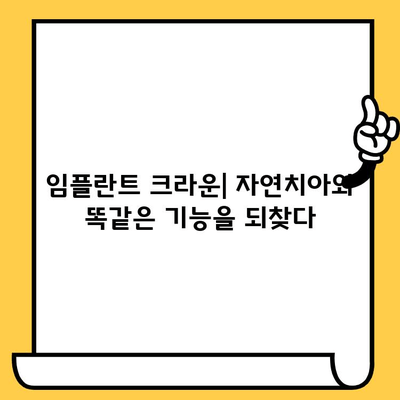 임플란트 크라운의 과학적 연구| 치과 의학의 혁신 | 임플란트 크라운, 치과 연구, 혁신 기술