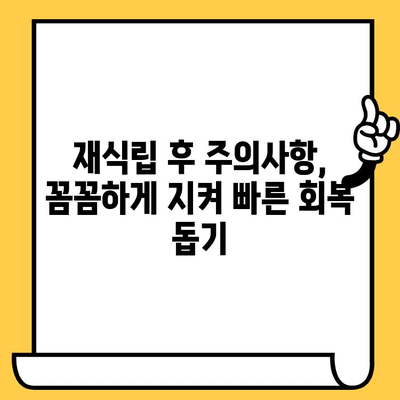 임플란트 크라운이 빠졌을 때? 재식립과 주의사항 완벽 가이드 | 임플란트, 크라운, 재식립, 관리