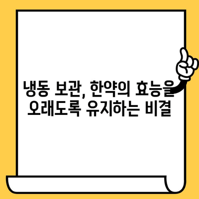 한약 보관의 핵심| 냉동 보관으로 유통기한 연장하기 | 한약, 유통기한, 보관 방법, 냉동 보관