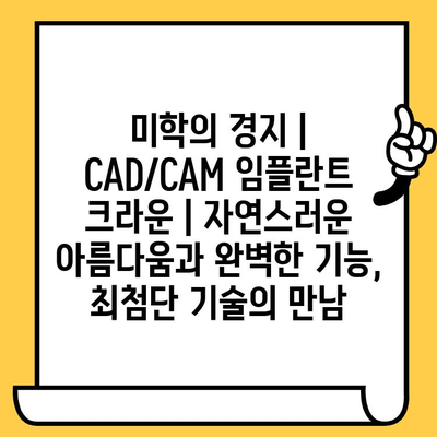 미학의 경지| CAD/CAM 임플란트 크라운 | 자연스러운 아름다움과 완벽한 기능, 최첨단 기술의 만남