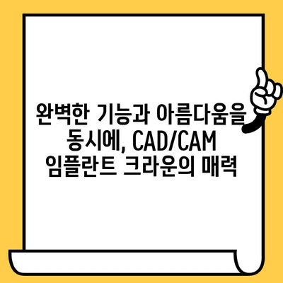 미학의 경지| CAD/CAM 임플란트 크라운 | 자연스러운 아름다움과 완벽한 기능, 최첨단 기술의 만남