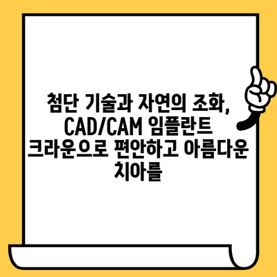 미학의 경지| CAD/CAM 임플란트 크라운 | 자연스러운 아름다움과 완벽한 기능, 최첨단 기술의 만남