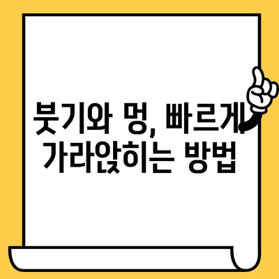 임플란트 크라운 제거 후 통증과 불편함 완화 관리 가이드 | 임플란트, 크라운, 제거, 통증, 관리