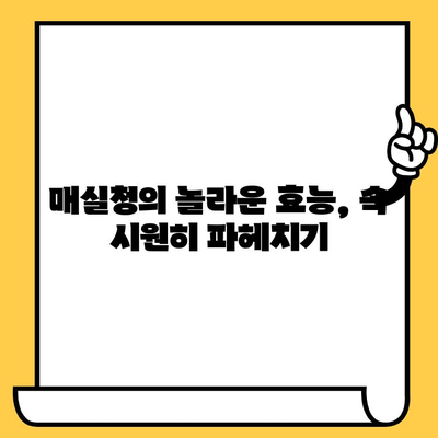 매실청의 놀라운 효능, 영양성분, 부작용 그리고 유통기한까지! | 건강, 매실, 효능, 부작용, 유통기한