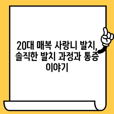 20대 매복 사랑니 발치, 임플란트, 크라운까지! 치료 후 솔직 후기 |  발치 과정, 통증, 회복, 비용, 팁