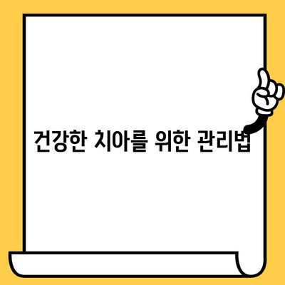 구멍과 충치, 임플란트 & 크라운 교체가 필요할 때| 알아야 할 모든 것 | 치과, 치료, 비용, 과정