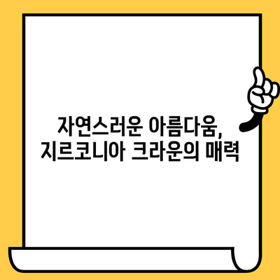 지르코니아 임플란트 크라운 장단점 완벽 분석| 심미성, 내구성, 비용 비교 | 임플란트, 치과, 치료, 가격, 장점, 단점