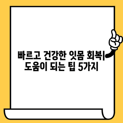 임플란트 크라운 제거 후 잇몸 회복|  예상되는 변화와 관리 가이드 | 임플란트, 크라운, 잇몸 관리, 회복 팁