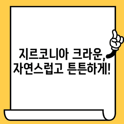 인창동 임플란트 발치 후 식립 & 지르코니아 크라운 수복| 과정, 비용, 주의사항 총정리 | 임플란트, 치과, 지르코니아, 인창동