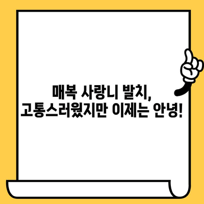 매복 사랑니 발치부터 임플란트 & 크라운까지, 치료 성공 후기|  나의 솔직한 경험 공유 |  임플란트 후기, 크라운 후기, 매복 사랑니 발치